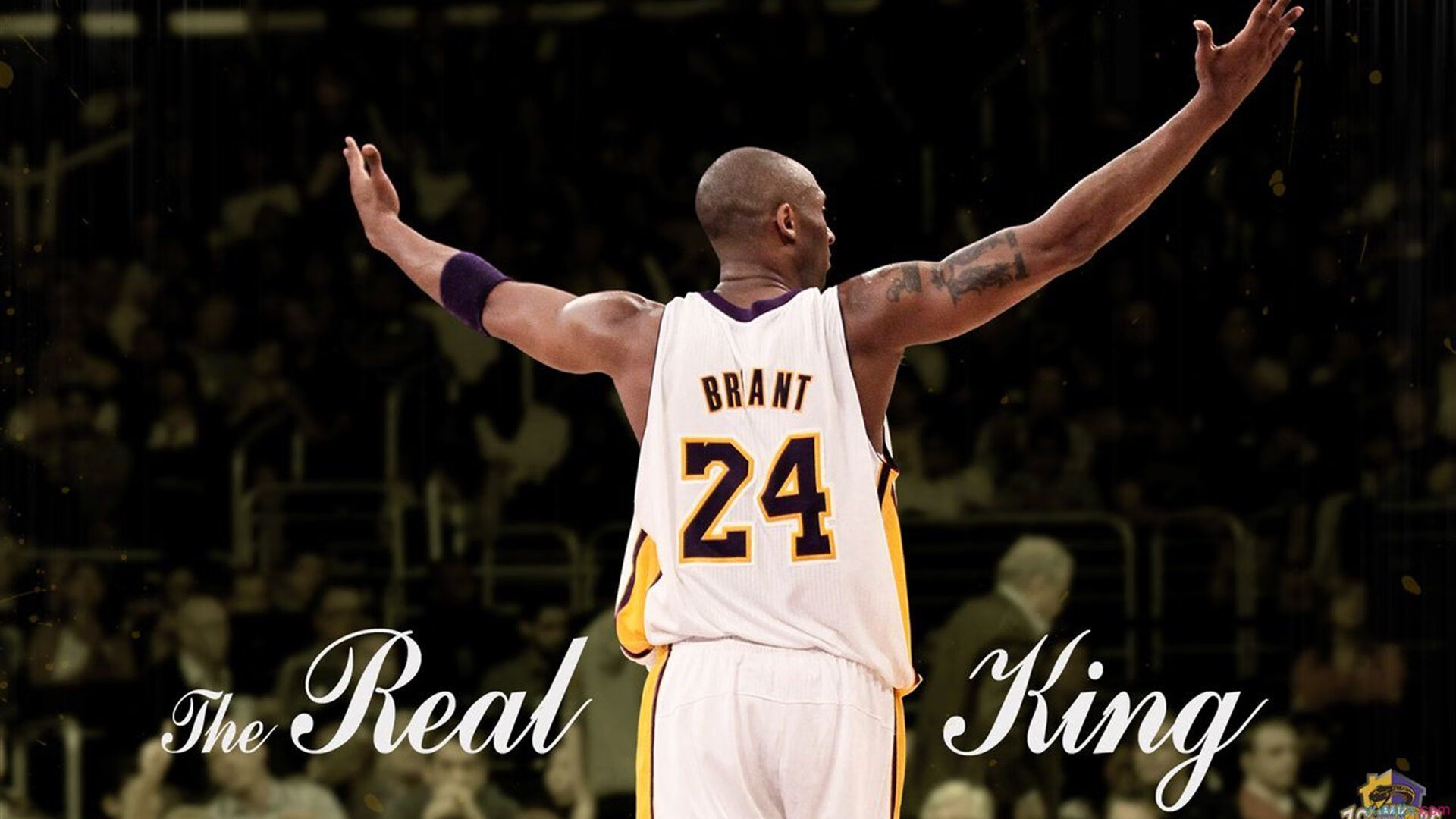 费德勒宣布退役,一代传奇告别网坛,留下不朽传奇